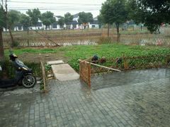 -丫丫蟹庄·苏式园林农家乐·阳澄湖大闸蟹(阳澄湖莲花岛店)