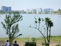 -美兰湖景区