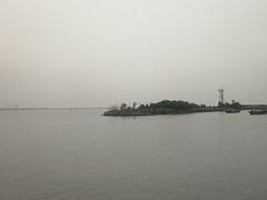 -大湾区中央湿地公园-十九涌