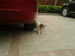 -北京小汤山医院体检中心