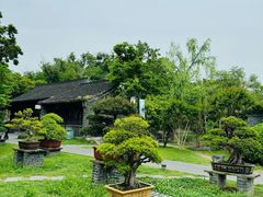 -扬州大运河文化旅游度假区·盆景园