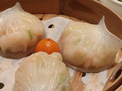 -点都德·毕德寮