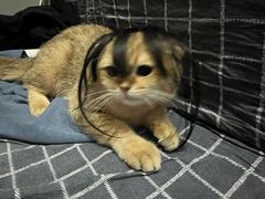 -荔康动物医院(康王北路店)