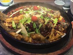 -老板恋上鱼(恒隆广场店)