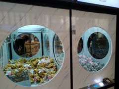 大堂-奈雪的茶(赛格店)