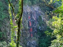 -水濂山森林公园