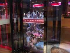 -龙达温泉生态城