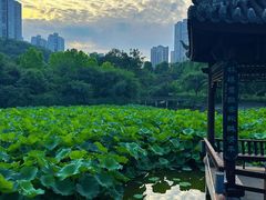 -龙头寺公园