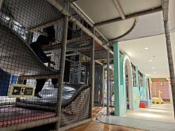 -meland club亲子乐园(重庆万象城店)