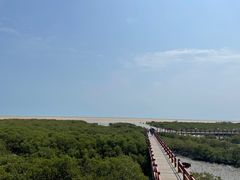 -北海金海湾红树林生态旅游区