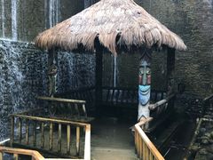 -呀路古热带植物园