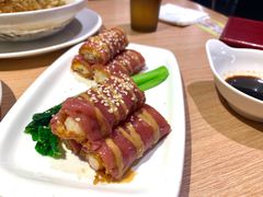 -南枝记