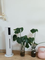 -美肤盾祛痘·问题肌头疗管理中心