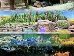 -上海海洋水族馆