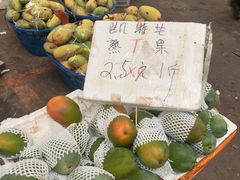 -三亚新鸿港水果一级批发市场