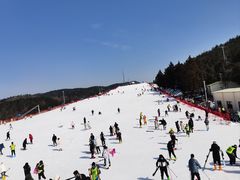 -溪口商量岗景区