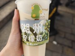 -猫的魔法密林(衣裳街店)