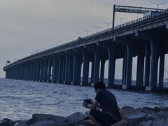 -宝安西湾红树林湿地公园