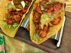 -Famous肥猫墨西哥音乐餐吧(五棵松华熙LIVE店)