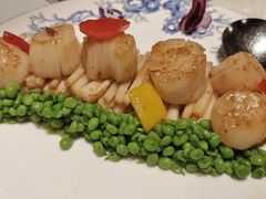 花生芽苗炒带子皇-皇朝会.经典传统粤菜(外滩店)