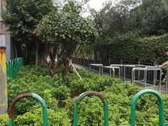 -铁路文化公园