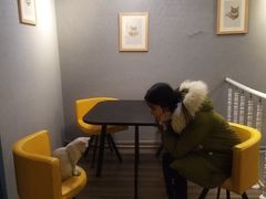 -有猫儿腻咖啡厅.猫咖