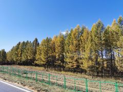 -塞罕坝国家级自然保护区