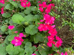 -人民公园(罗湖区)