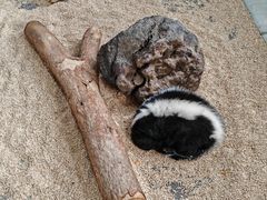 -海合安武汉极地海洋公园