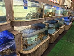 -壹品盛宴(企石店)