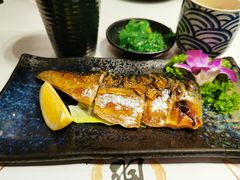 青花鱼-羽寿司(东方宝泰店)