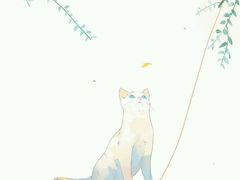 -喵的天空名猫咖啡馆·撸猫·猫舍·用品