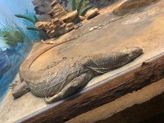 -石家庄市动物园