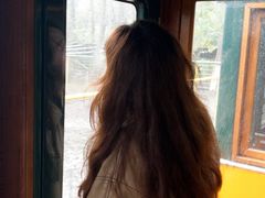 -合肥滨湖国家森林公园