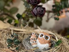 -春风·有糖(崇宁路店)