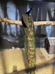 -酷嗒动物文化乐园(cutezoo西溪乐天城店)