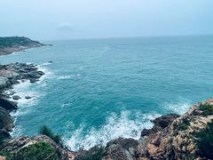 -广东惠东海龟国家级自然保护区