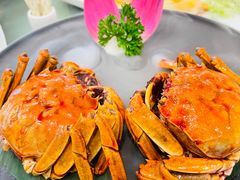 -王宝和酒家(黄浦店)