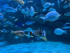 -海合安成都极地海洋公园