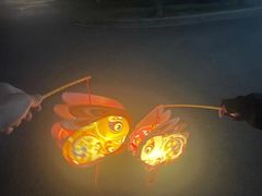 -福建鲤鱼洲酒店