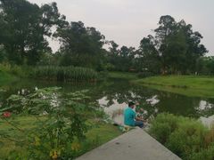 -两河城市森林公园