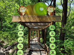 -大岭沟猕猴桃谷风景区