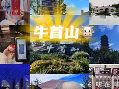 -牛首山文化旅游区