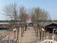 -荷花大观园