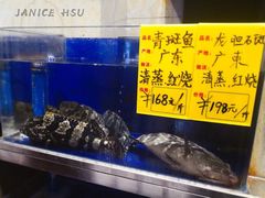 水产区-頂好酒家·经典粤菜(海信广场店)