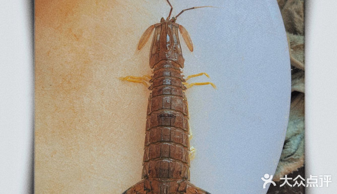 家庭式丨自制痛风套餐