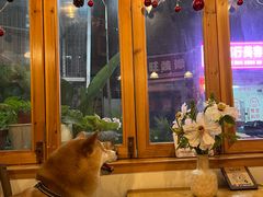 -In Cafe隐食研室