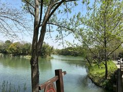 -西溪国家湿地公园