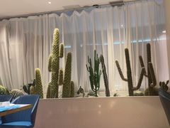 -悦海·家宴·冰花皮皮虾大锅贴(宝龙店)