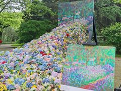 -上海共青森林公园